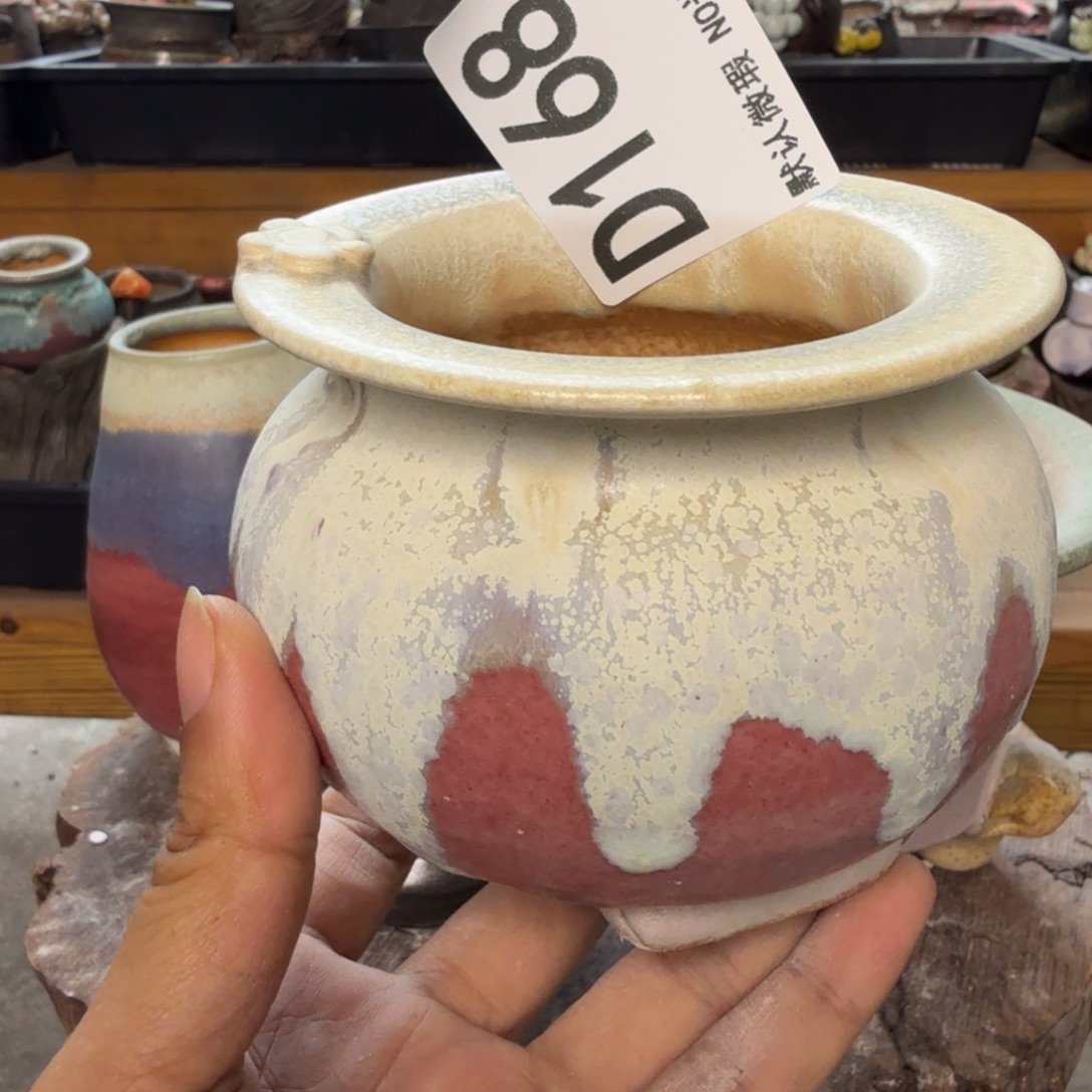 重庆小燕子欢迎大家168