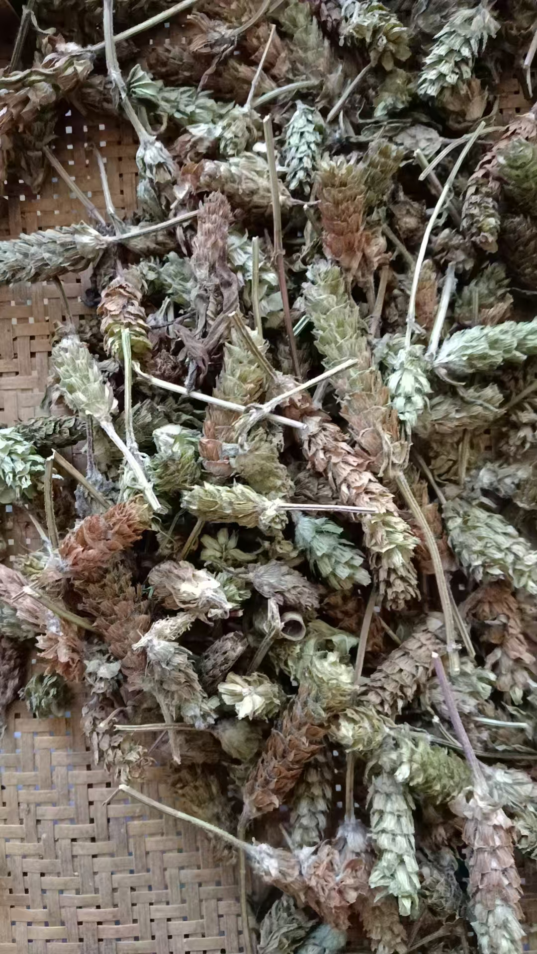 [阿俊哥推荐]贵州野生夏枯草