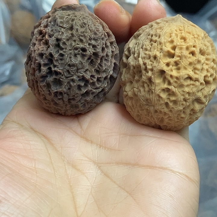 文玩核桃把件云南铁核桃基地19