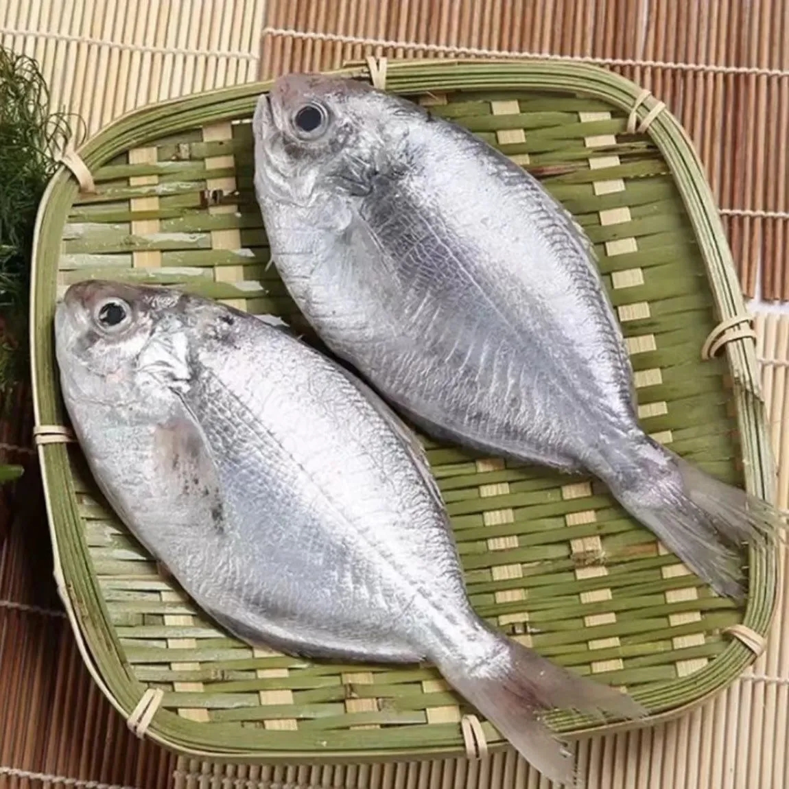 海捕野生 南鲳鱼 肉鲳鱼 4-6条/斤 原条发货 顺丰包邮