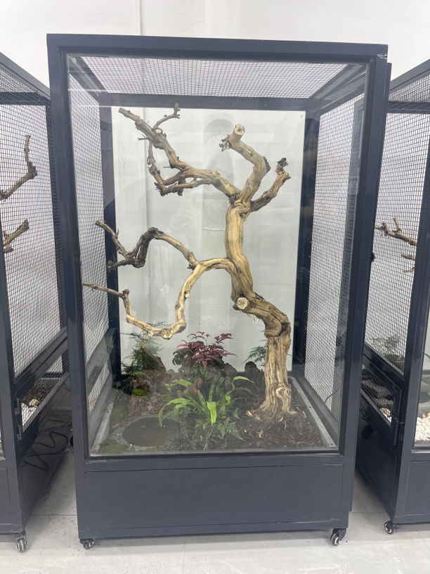 新品流水大号生态鸟笼