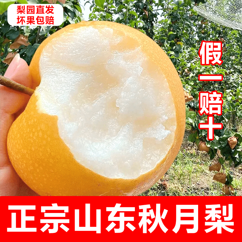 【顺丰包邮】山东正宗莱阳秋月梨新鲜现摘脆甜多汁