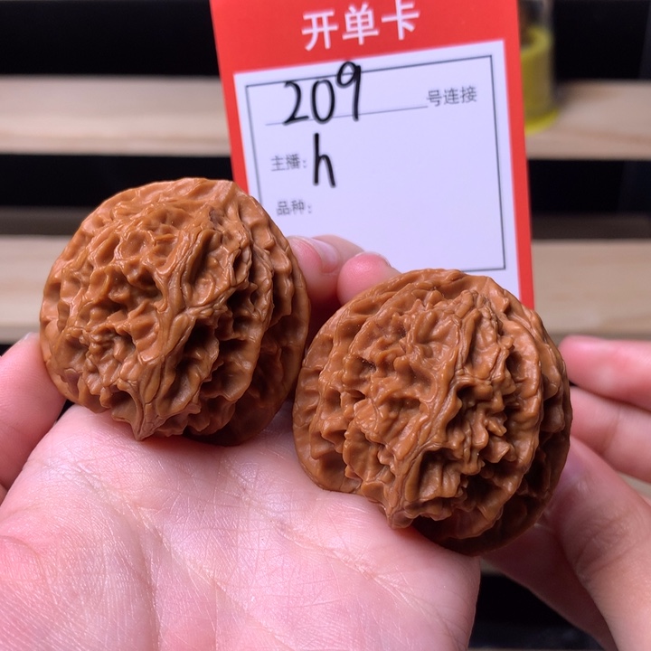 核桃40苹果园209号