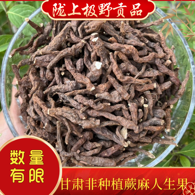 甘肃非种植 蕨麻 人生果 非种植250克包邮