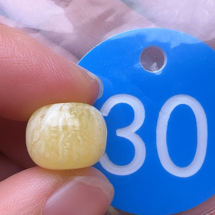 蜜蜡裸石未镶嵌12.7m m