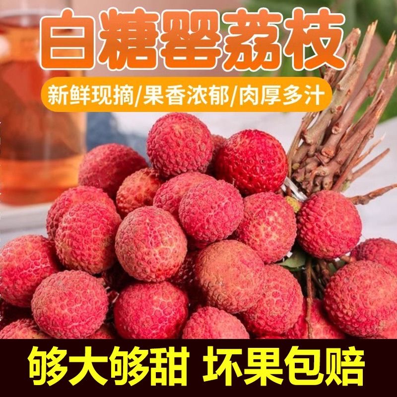 【京东顺丰冷链】正宗白糖罂茂名高州荔枝现摘应季