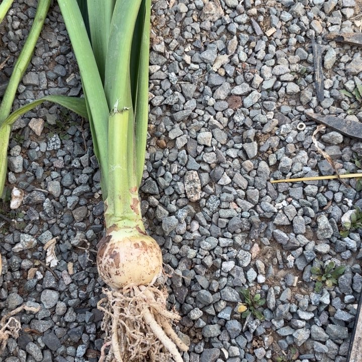 无花朵秋意浓包对版福利