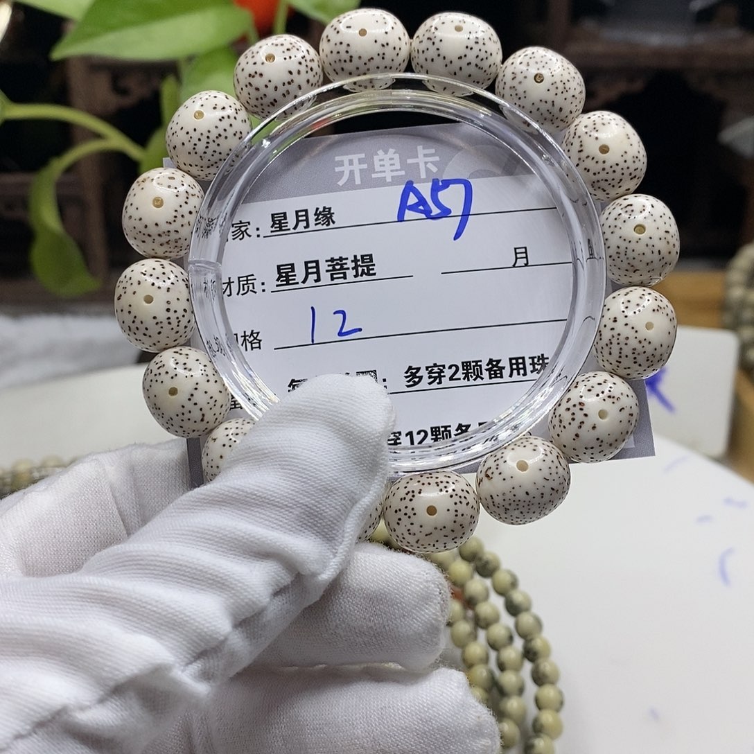【闪购商品】星月菩提吊坠A57,?!!&&&