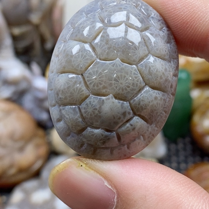 硅化珊瑚（珊瑚玉）颈饰未镶嵌