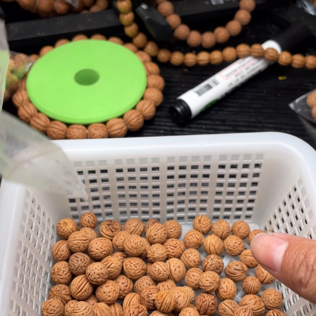 【闪购商品】疯***菜散子批发50米