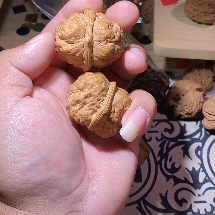 大尺寸蛤蟆头一对