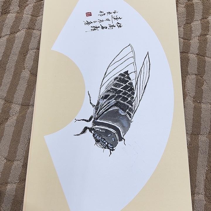 国画花鸟的翅膀和翅膀都