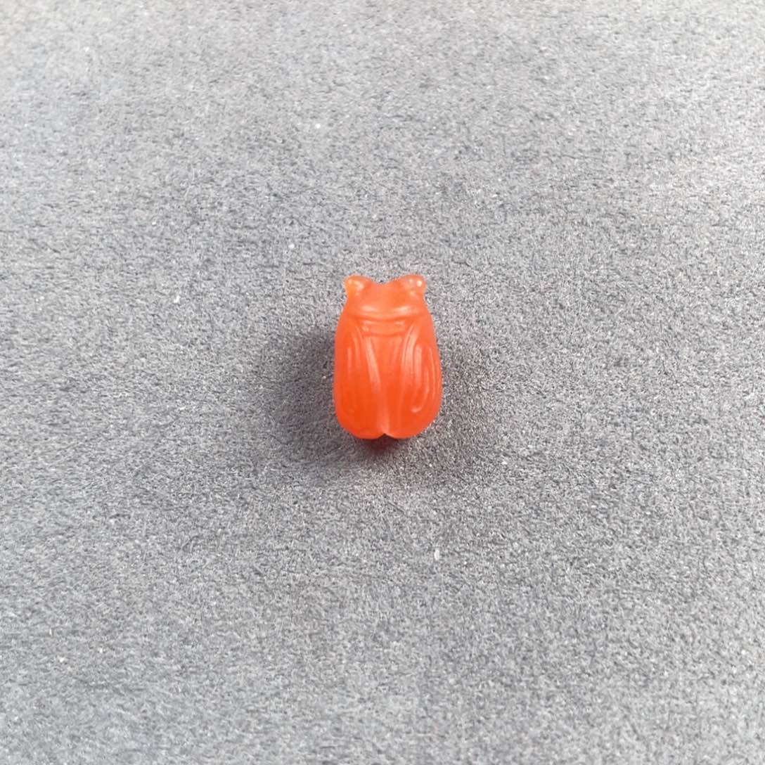 南红玛瑙蝉未镶嵌✨**