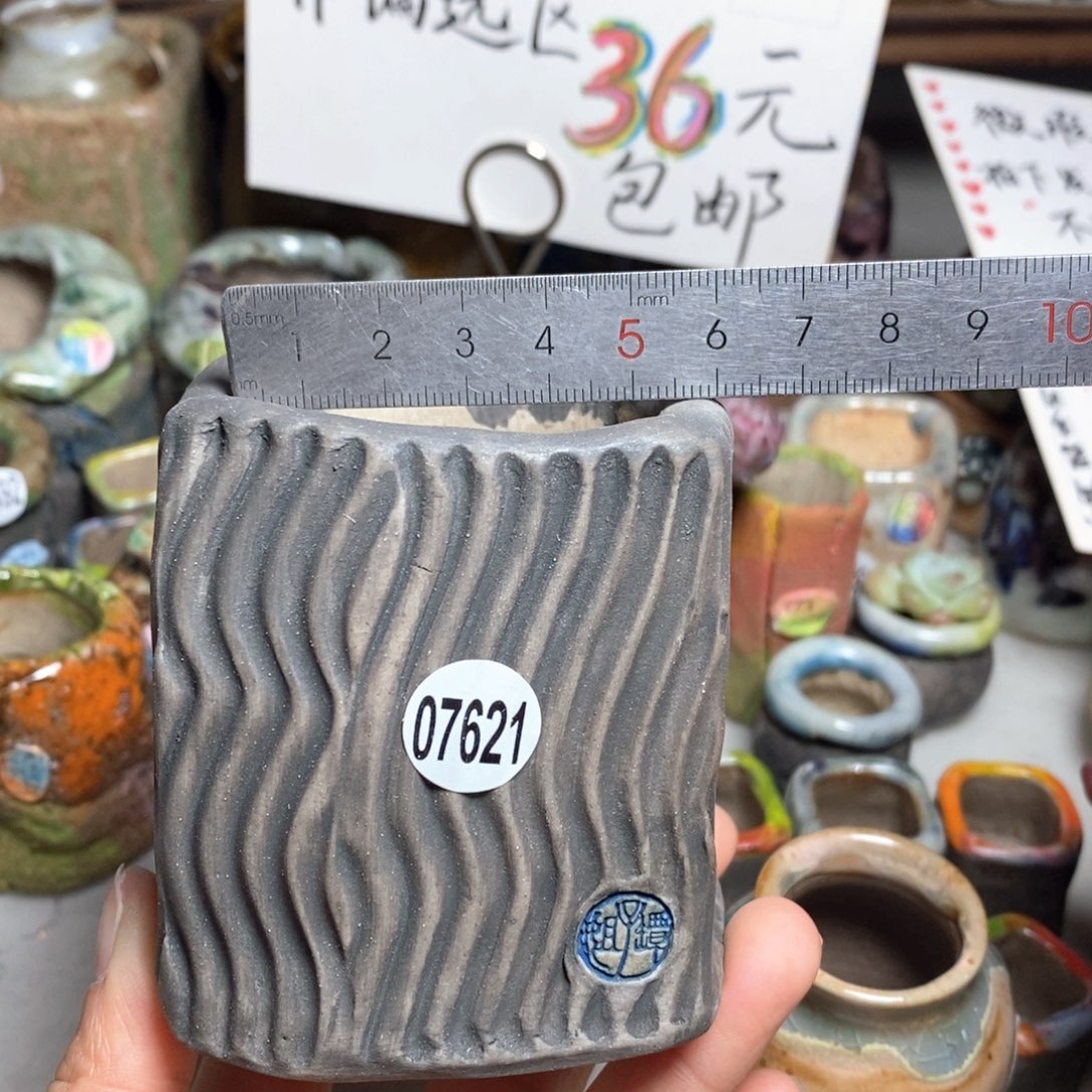 朋*花盆拍3送一个小礼物