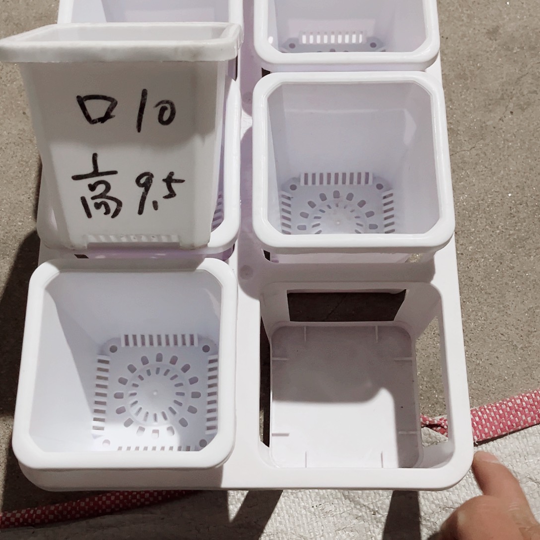 塑料升级款景天10方白色盆12个带拖架