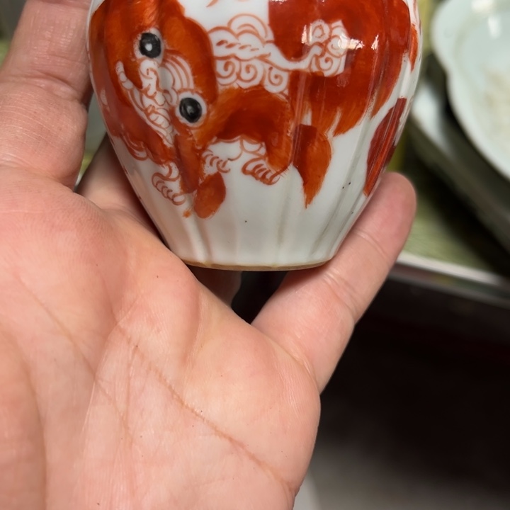 海***洋看好下单不退不换新狮子罐