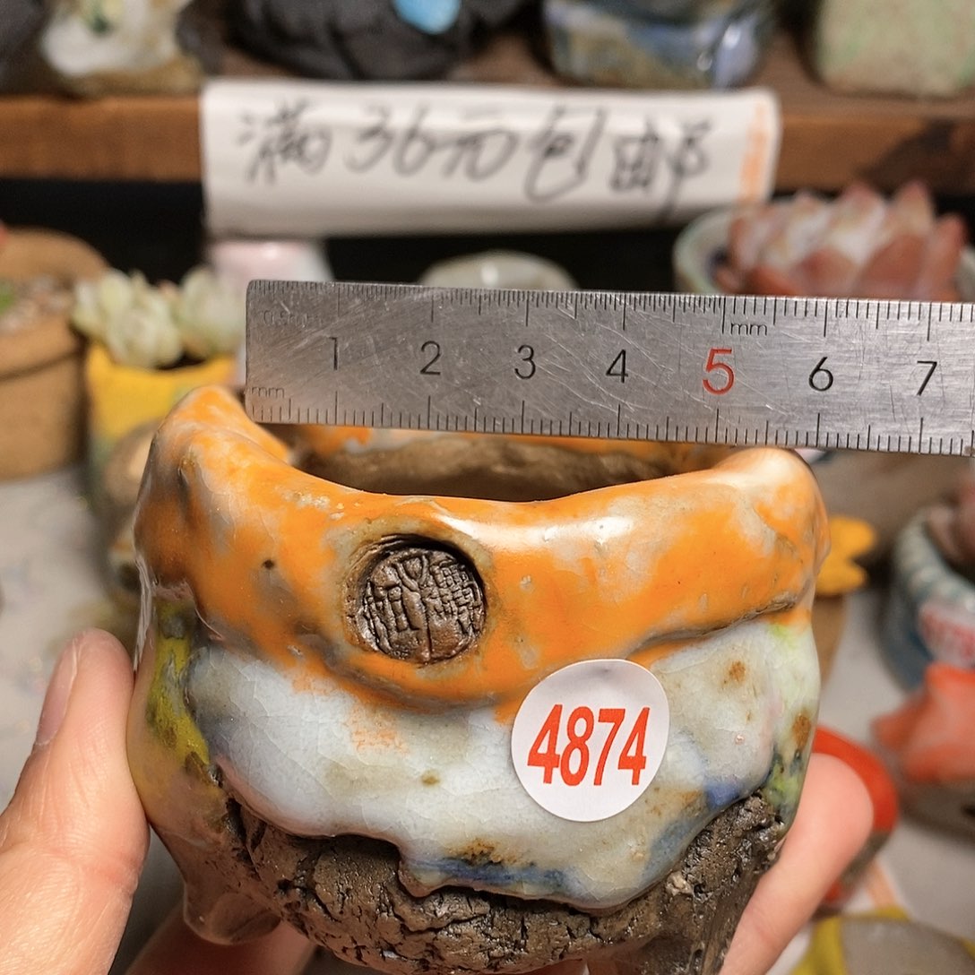 红陶拍5送一个小