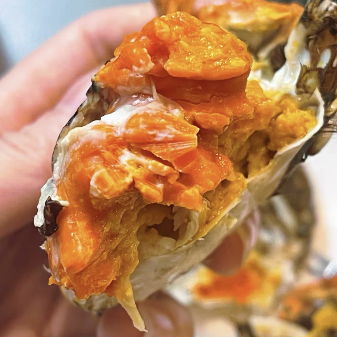 [活蟹]固城湖大闸蟹母2.7-2.4两/只