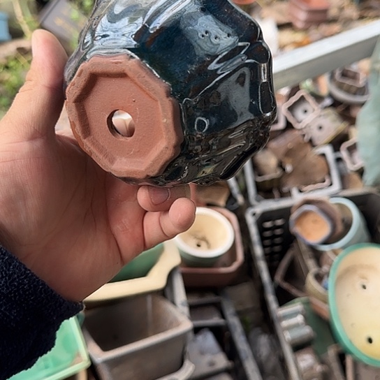 是一个集休闲农业的休闲胜地以及现代生活