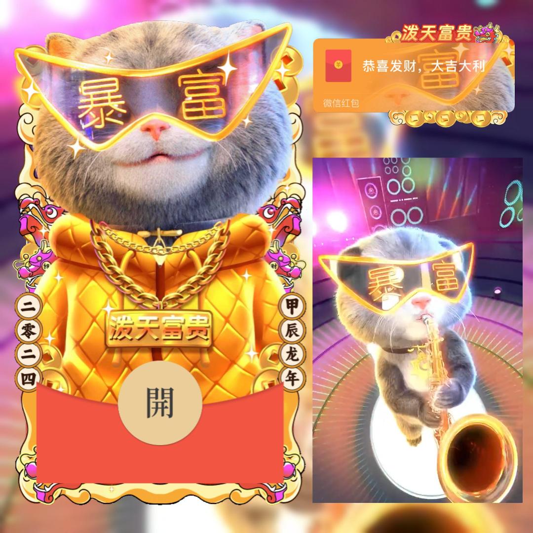 斑布猫-暴富泼天富贵动态红包封面祝福告白仪式生日可爱vx皮肤