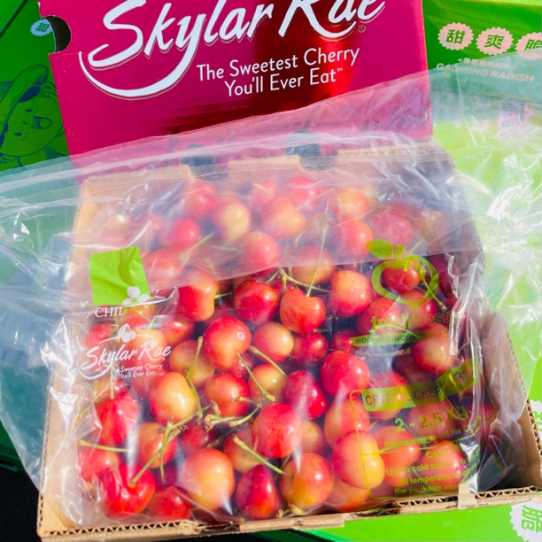 【斯凯拉雷/Skylar Rae3J】天空之城空运4斤车厘子脆甜口内附果径卡智利