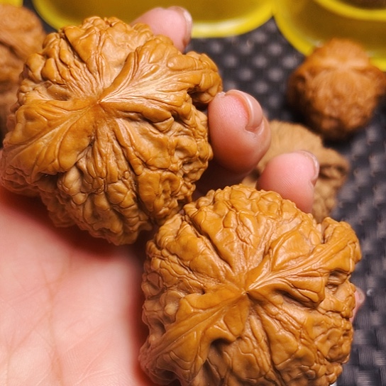 文玩核桃50尺大龙鼎