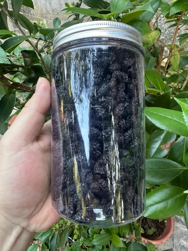 桑葚干凤凰山脉文祠石坑鲜果纯日晒桑葚干可煮水泡酒味道鲜甜