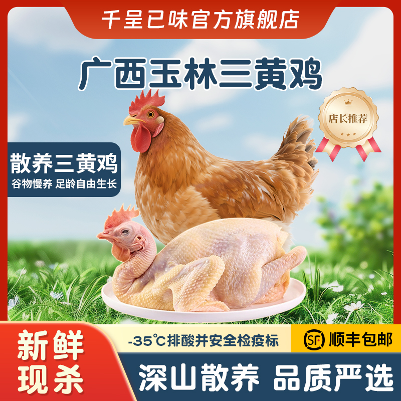 【千呈己味】玉林三黄土鸡1000g以上单只装