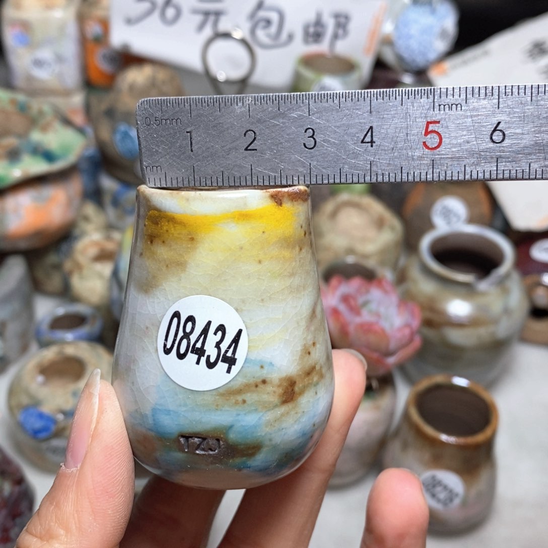 花盆拍5送一个小礼物