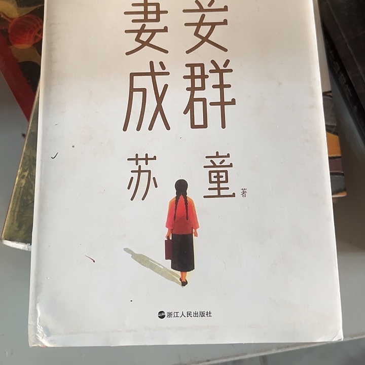 妻妾成群全新精装