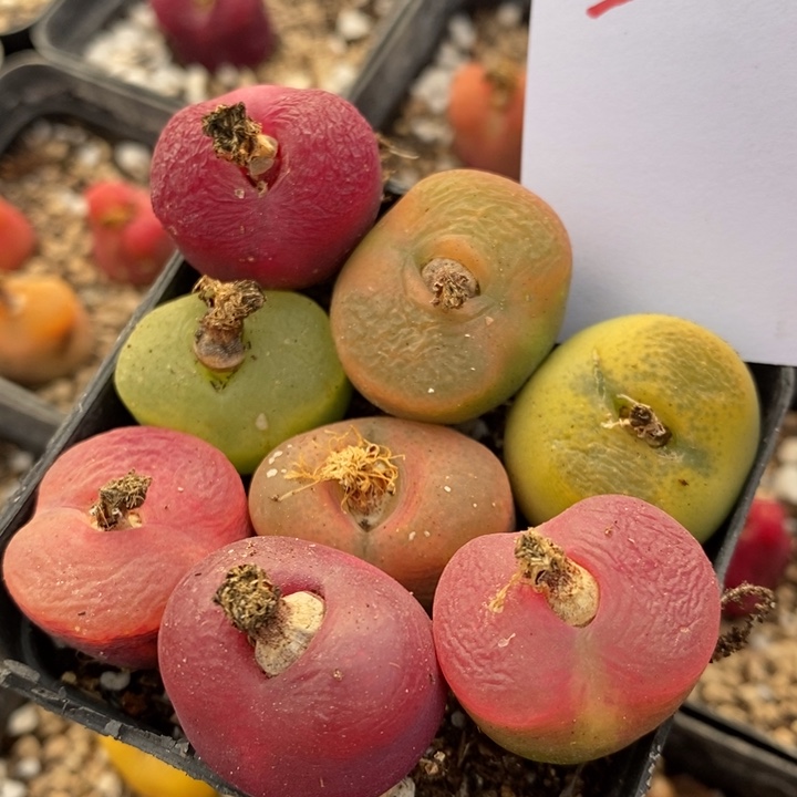 6107一组一组一组