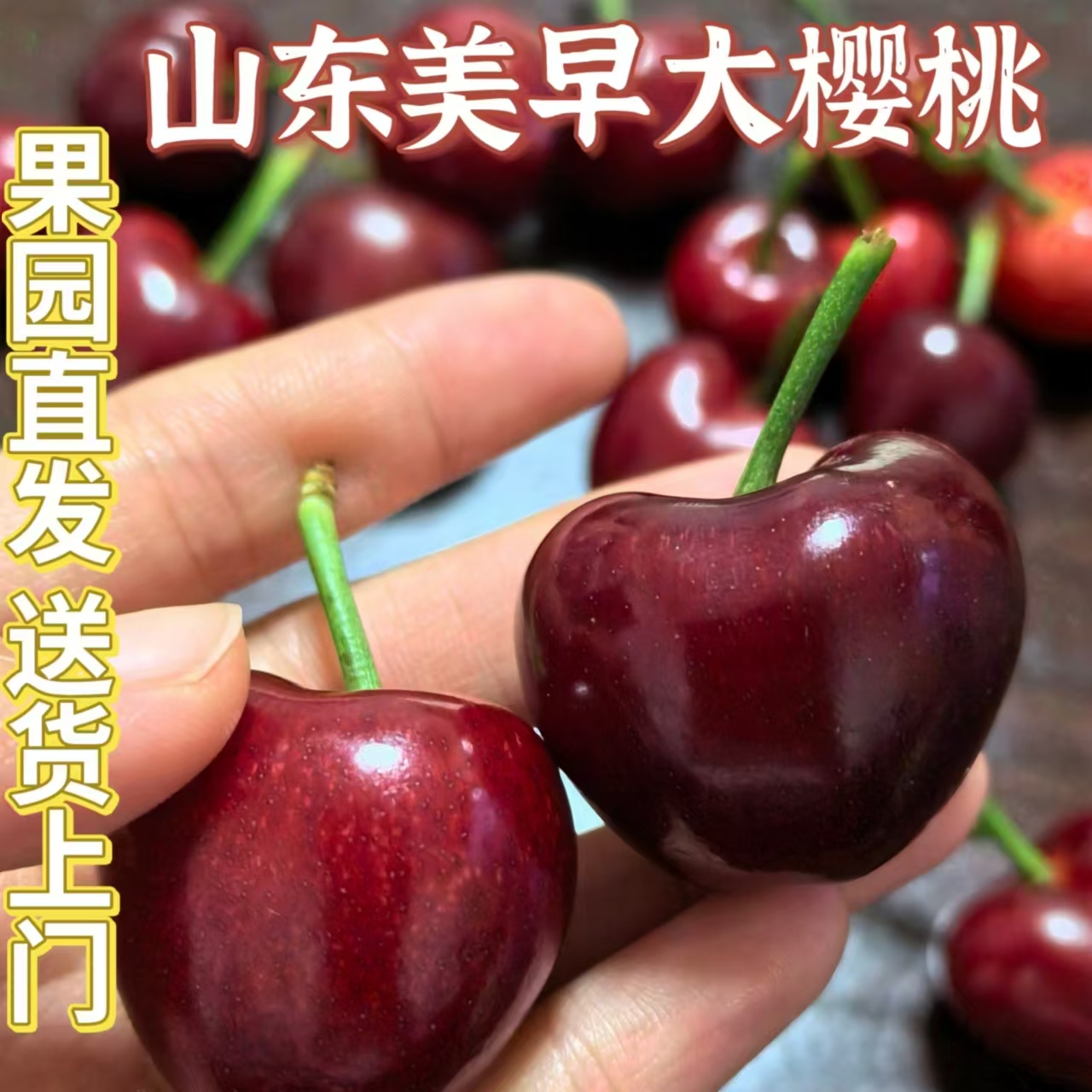山东美早大樱桃脆甜多汁现摘现发京东空运包邮新鲜到家应季水果