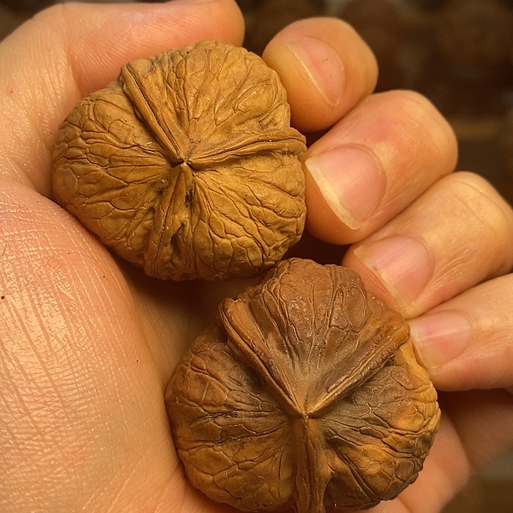 吊坠文玩核桃三棱14