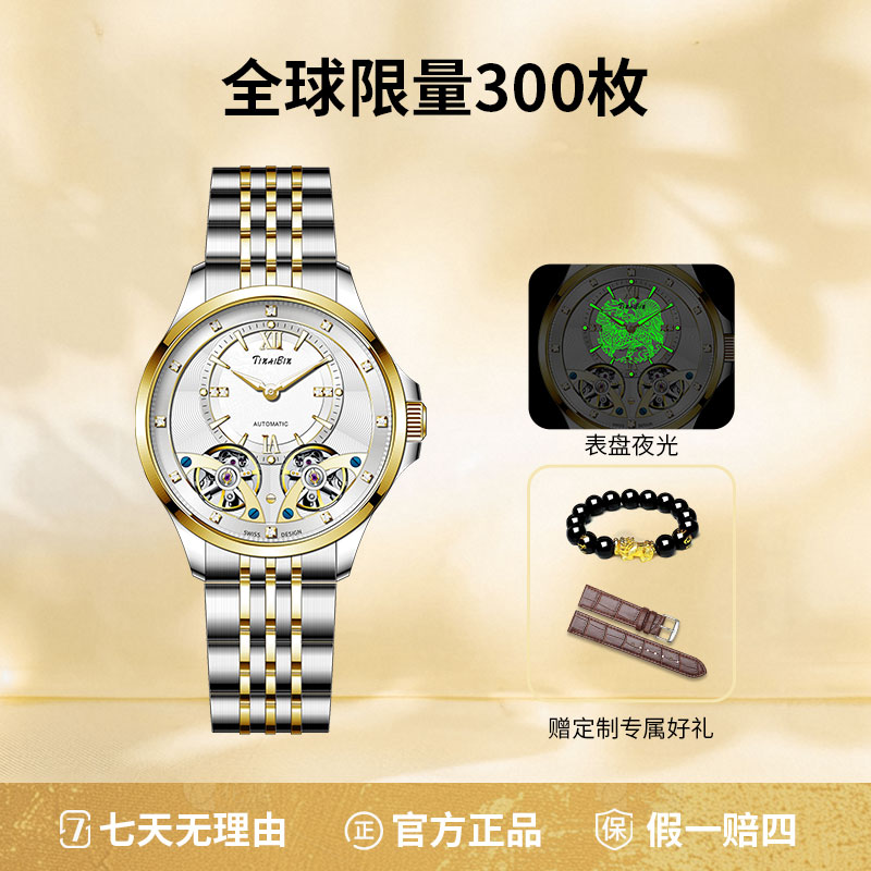 全新瑞士品牌TINAIBIN 双飞轮系列 时尚自动机械腕表赠手串皮带lm