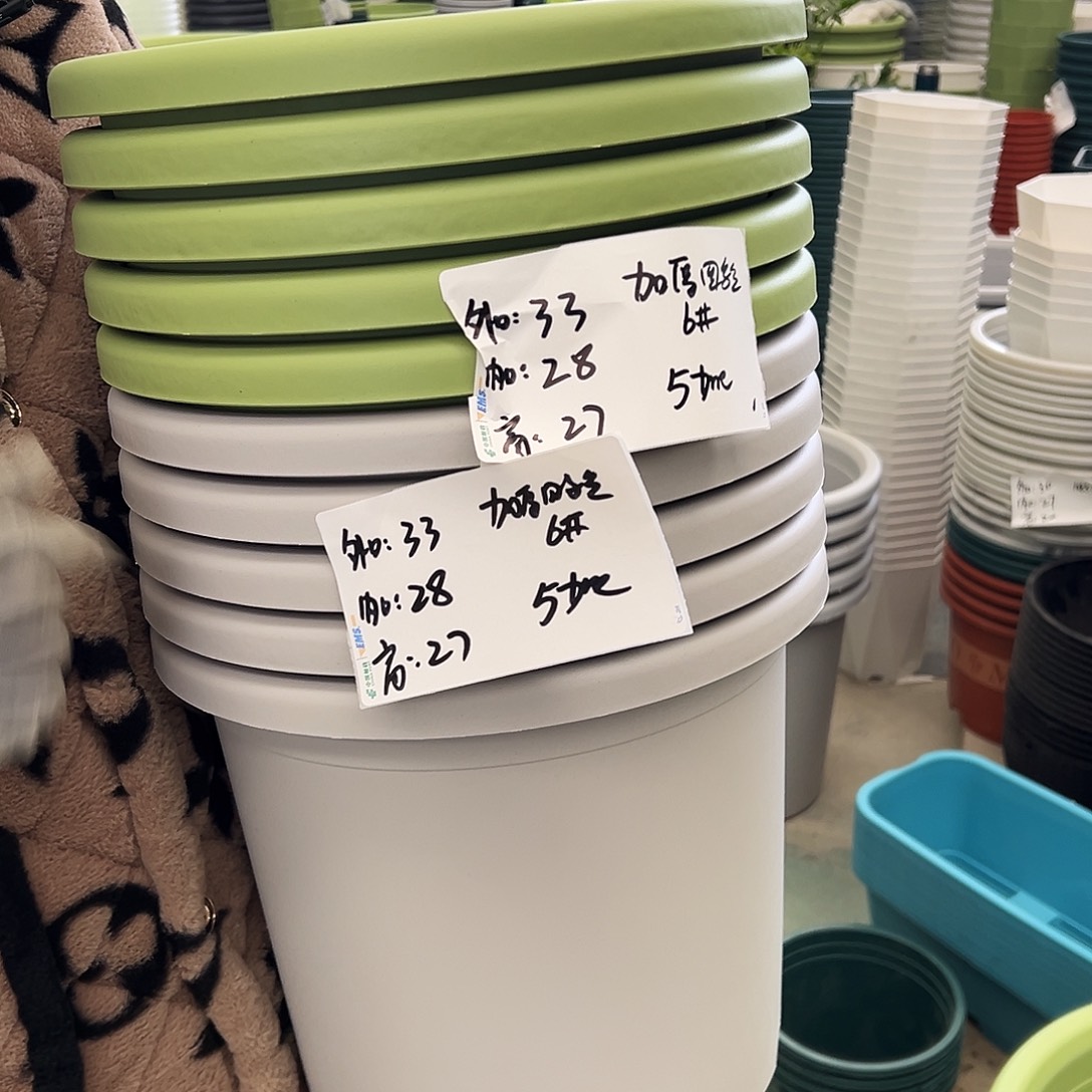 四季盆6#果绿色5个（含托盘）