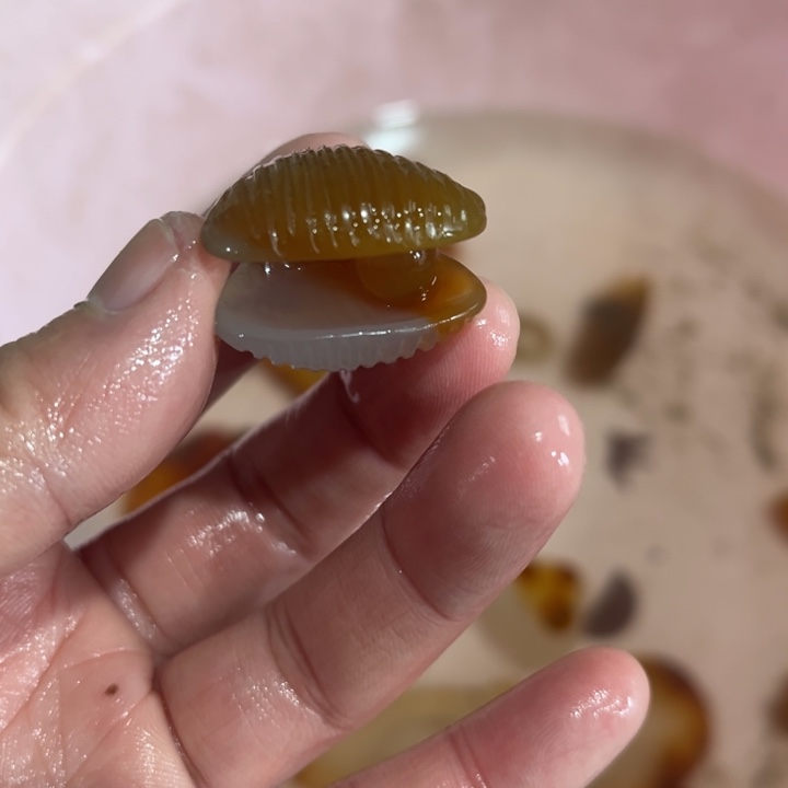 玛瑙/玉髓珠宝奇石未镶嵌