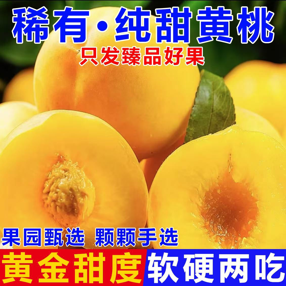 【甜如初恋】现摘现发新鲜大黄桃【五斤一箱】鲜甜多汁可做罐头