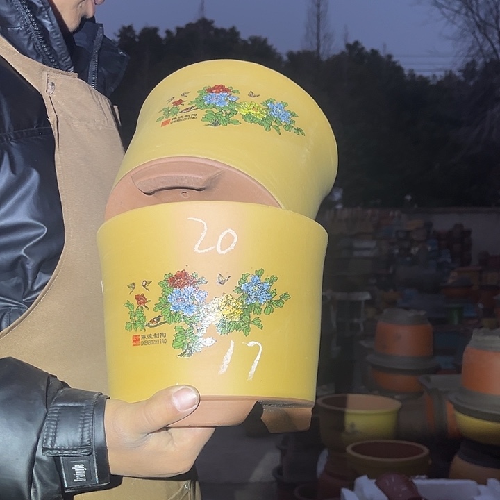 紫砂紫砂花盆盆栽