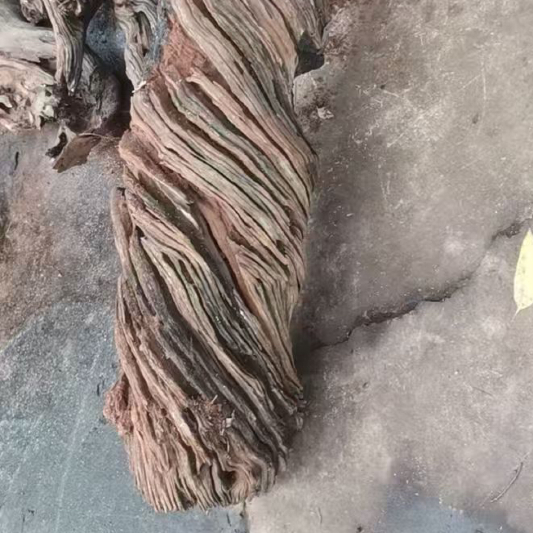 毛毛料与黑油料木料商品非直播下单随机发货