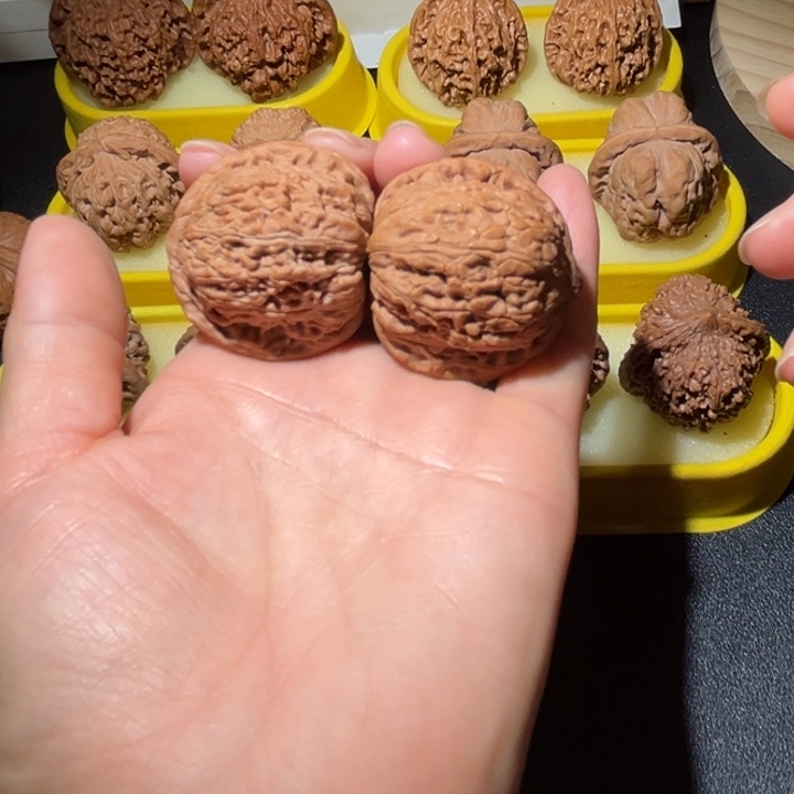 涞水山地果秀球全品