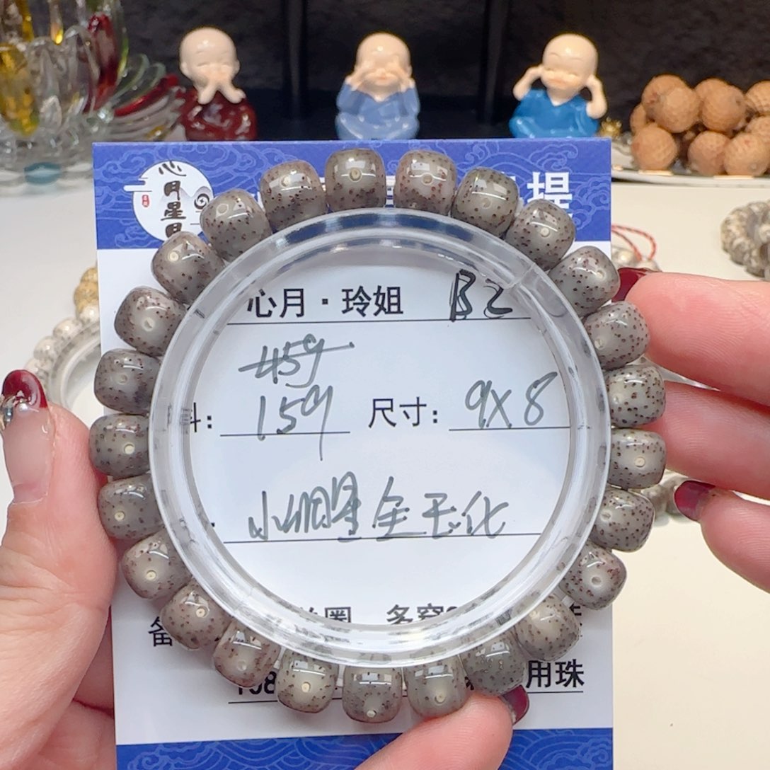 心月星月菩提一号B2