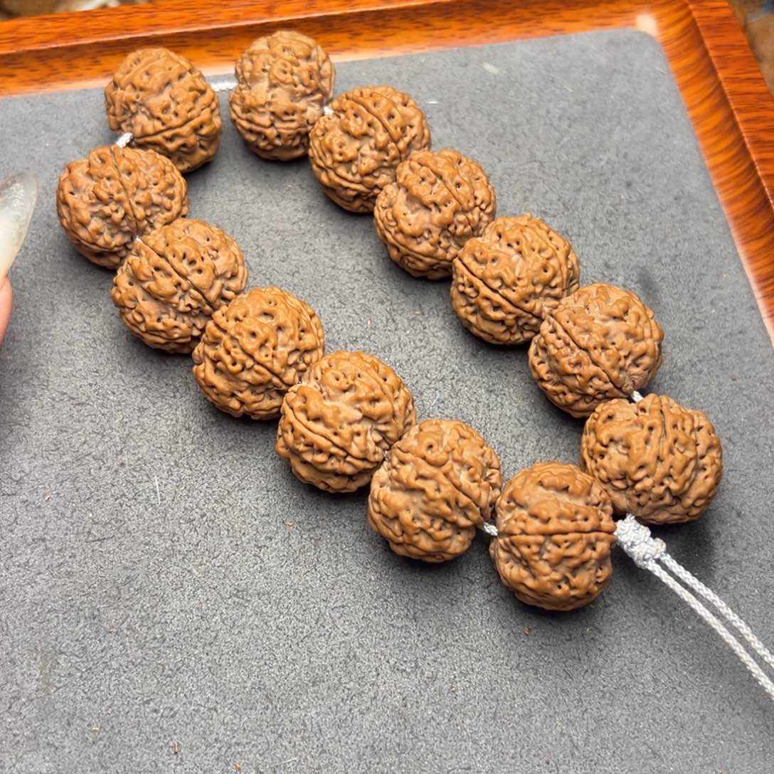 菩提22号尼泊尔大金刚23蜂窝