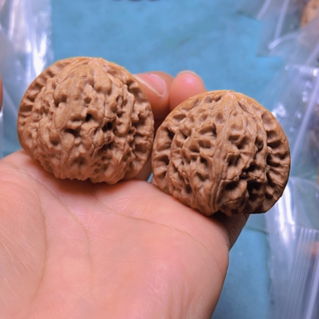 【闪购商品】核桃摆件38白狮子有修