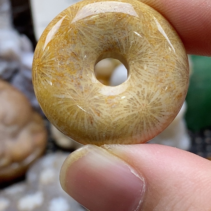 硅化珊瑚（珊瑚玉）颈饰未镶嵌小吊坠