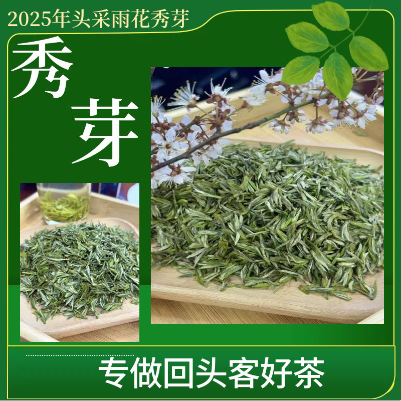 2025年新茶头龙井采芽雨花手工永川秀芽1号嫩芽老鹰茶