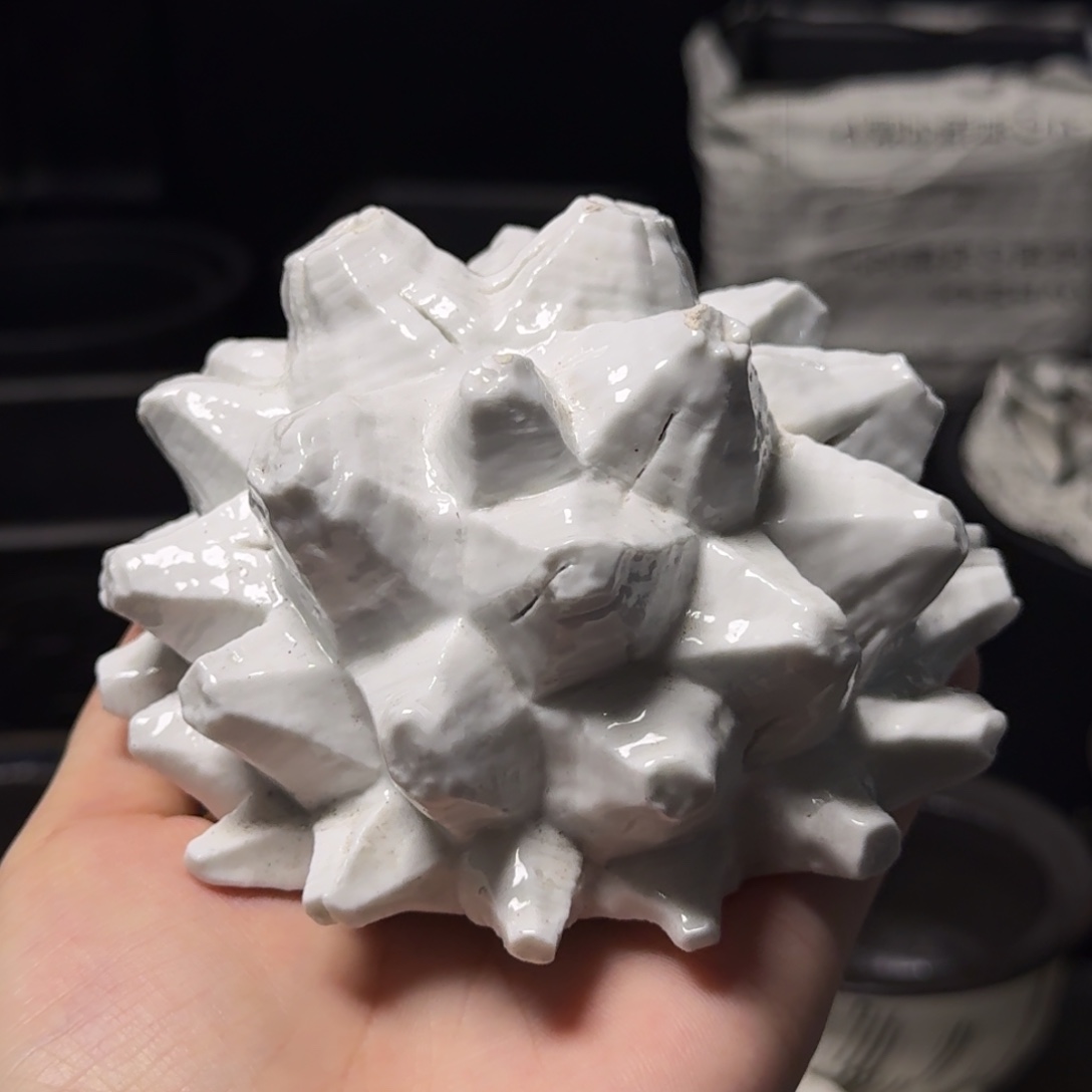 龟甲龙盆哈哈哈哈哈哈哈