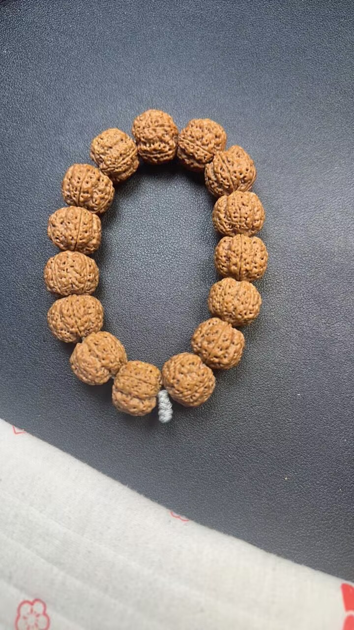 大金刚原生态菩提