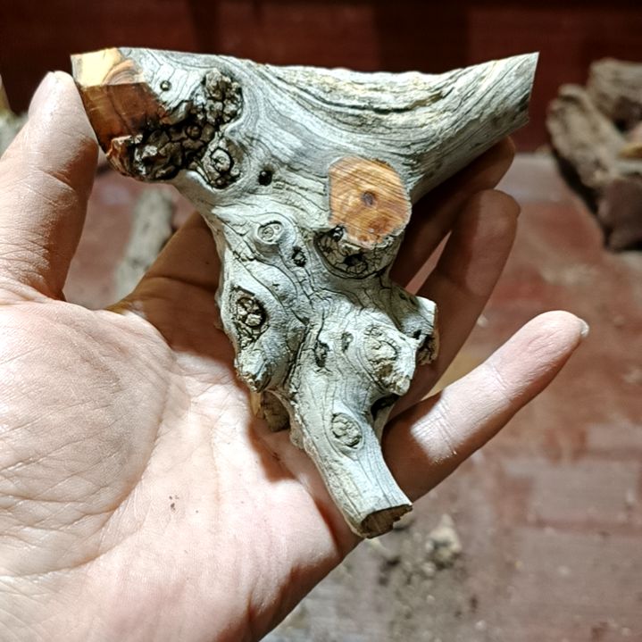 天***底香榧木崖柏随行毛料毛料毛料