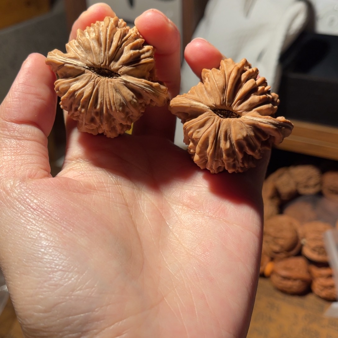 文玩核桃把件44矮楼有色差，不退换