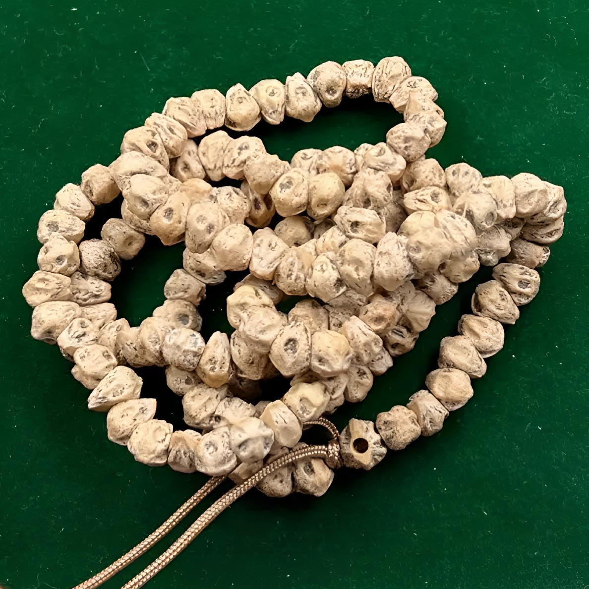 原生态热振柏香籽大肠长串藏式风格文玩珠串脖挂